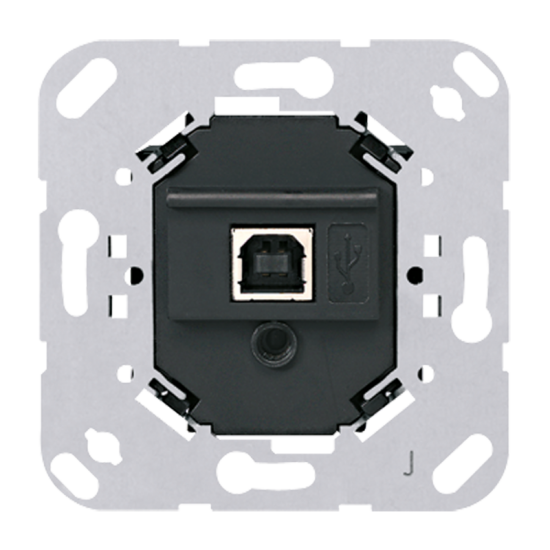 USB-интерфейс, 2131 USBS