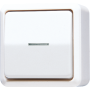 Выключатель одноклавишный10 AX / 250 В ~ с окошком, 606 KO5 A WW