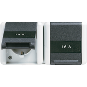 2-gang SCHUKO® socket 16 A / 250 V ~, 8220 NAWTS