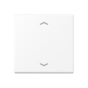 Клавиша с символами «стрелки», A 101 P BF WWM