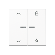 Universal centre plate "arrows", A 1701 BFP WWM