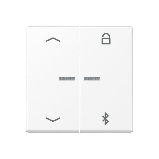 Таймер универсальный Bluetooth® «стрелки», A 1751 BFPBT WWM