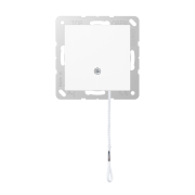 Выключатель со шнурком (универсальный) 10 A / 250 B ~, A 506 BF NUZ WW