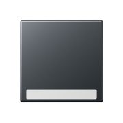 Kлавиша с полем для надписи 6 x 46 мм, A 590 BF NA ANM