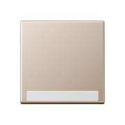 Kлавиша с полем для надписи 6 x 46 мм, A 590 BF NA CH