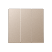 Клавиша, тройная, A 593 BF CH