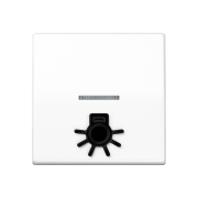 Безбарьерная среда Kлавиша с рельефным символом «освещение» и окошком, ABAS 591 L1KO5 WW