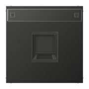 Плата (фиксация защёлкиванием) с полем для надписи 12 x 55 мм, AL 1969-1 NA WE AN