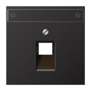 Плата с полем для надписи 12 x 55 мм, AL 2969-1 NAUA D