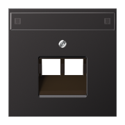 Плата с полем для надписи 12 x 55 мм, AL 2969-2 NAUA D