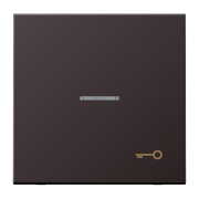 Kлавиша с символом «ключ» и окошком, AL 2990 KO5 T D