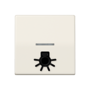 Безбарьерная среда Kлавиша с рельефным символом «освещение» и окошком, AS 591 L1KO5