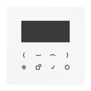 Дисплей, DAB LS-DISP WW