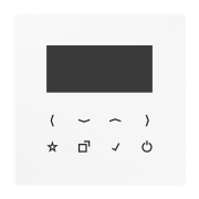 Дисплей, DAB LS BT-DISP WW