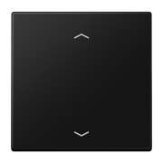 Радиопередатчик EnOcean с символами ??, ENO LS 990 P SWM