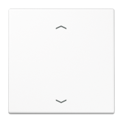 Радиопередатчик EnOcean с символами ??, ENO LS 990 P WW