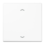 Клавиша с символами «стрелки», LS 101 P WW