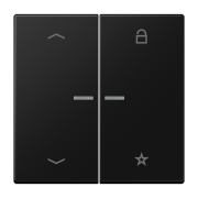 Universal centre plate "arrows", LS 1701 P SWM