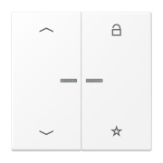 Universal centre plate "arrows", LS 1701 P WWM