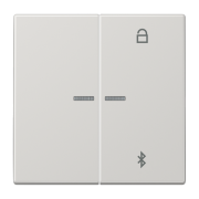 Таймер универсальный Bluetooth® , LS 1751 BT LG