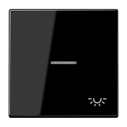 Клавиша с символом «освещение» и окошком, LS 990 KO5 L SW