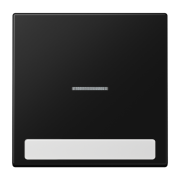 Клавиша с окошком и с полем для надписи 9 x 58 мм, LS 990 NAKO5 SWM